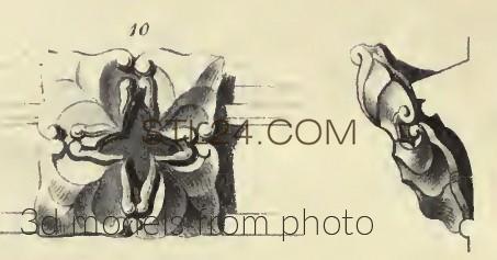 Розетки (ROSETTE_1507 -  | 3D model 3DSMAX / OBJ / STL) 3D модель для ЧПУ станка